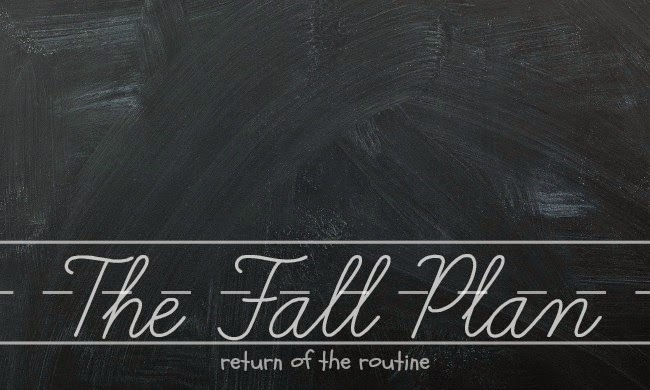 BACK TO ROUTINE: THE FALL PLAN