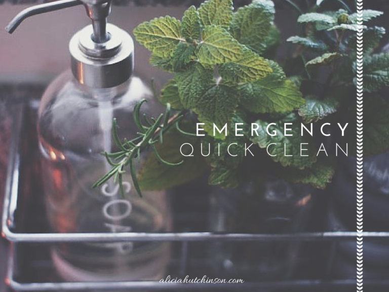 EMERGENCY QUICK CLEAN