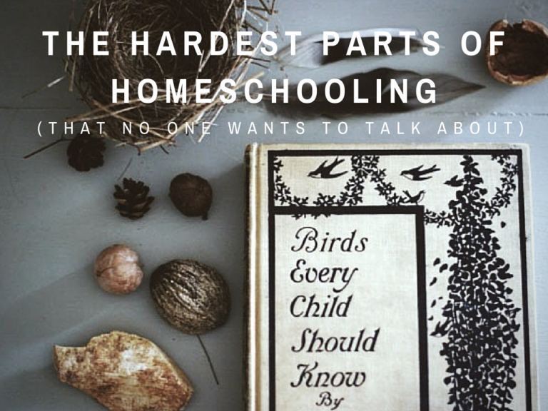 THE HARDEST PARTS OF HOMESCHOOLING (THAT NO ONE LIKES TO TALK ABOUT)