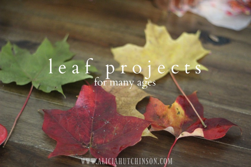 Leaf projects for multiple ages. 