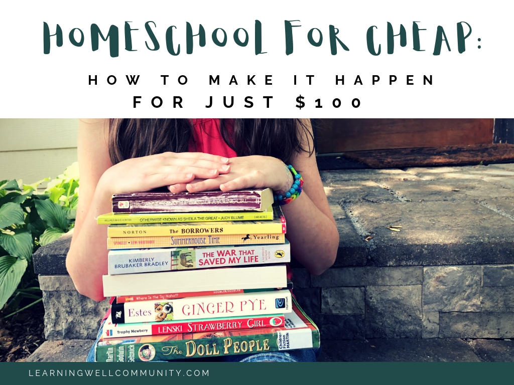 Sticking to a homeschool budget is hard but it's better with a plan. This post lays out two curriculum plans to homeschool your kid for 100 dollars!