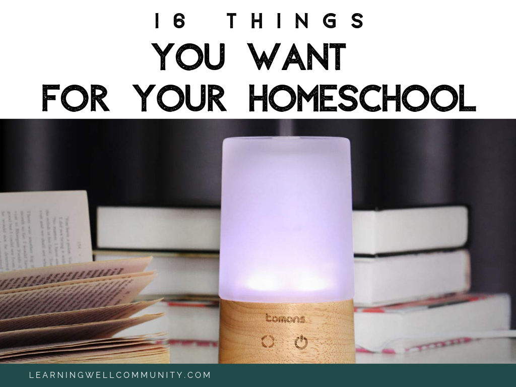 I'd never say to spend your money frivolously, but there's just things you want for your homeschool! Here's a fun list of things you might want!