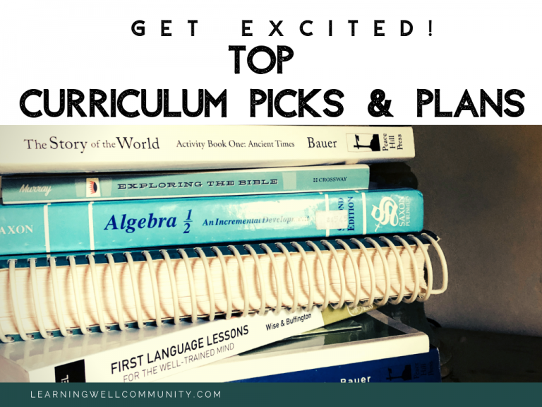 Get Excited! Top Curriculum Picks + Plans for the New Year (Grades 12, 8, 6 and 1!)