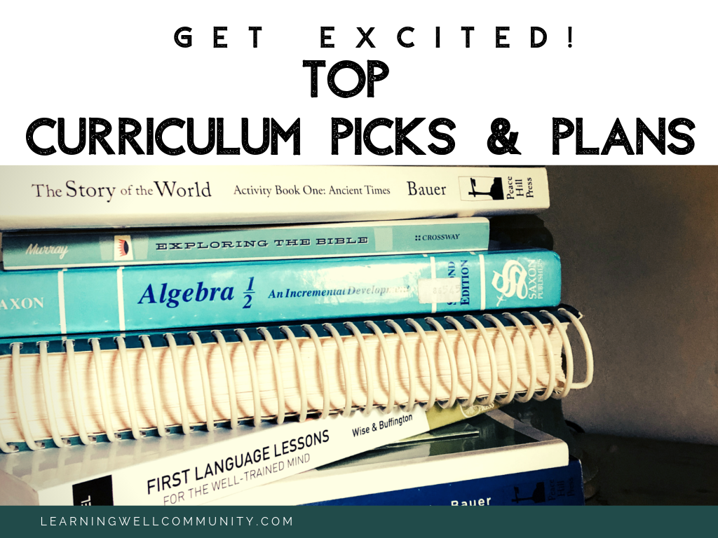 The school year is coming quick! Currently homeschooling grades 1, 6, 8 and 12. Here's my annual curriculum picks and plans list!