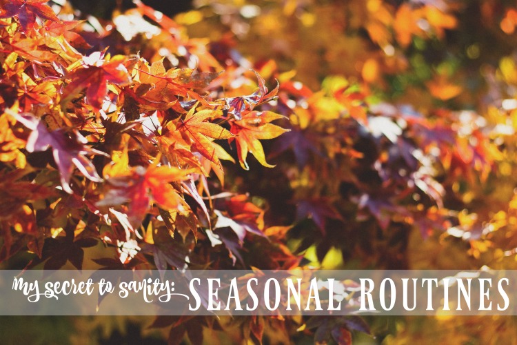 Want to know my secret to staying sane as a homeschooling mom of four kids? Seasonal routines. Here's what I mean...