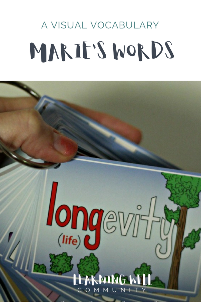 Need a great way to easily sneak in great vocabulary words into your homeschool day? Check out this review on Marie's Words, a visual vocabulary tool for kids of all ages.