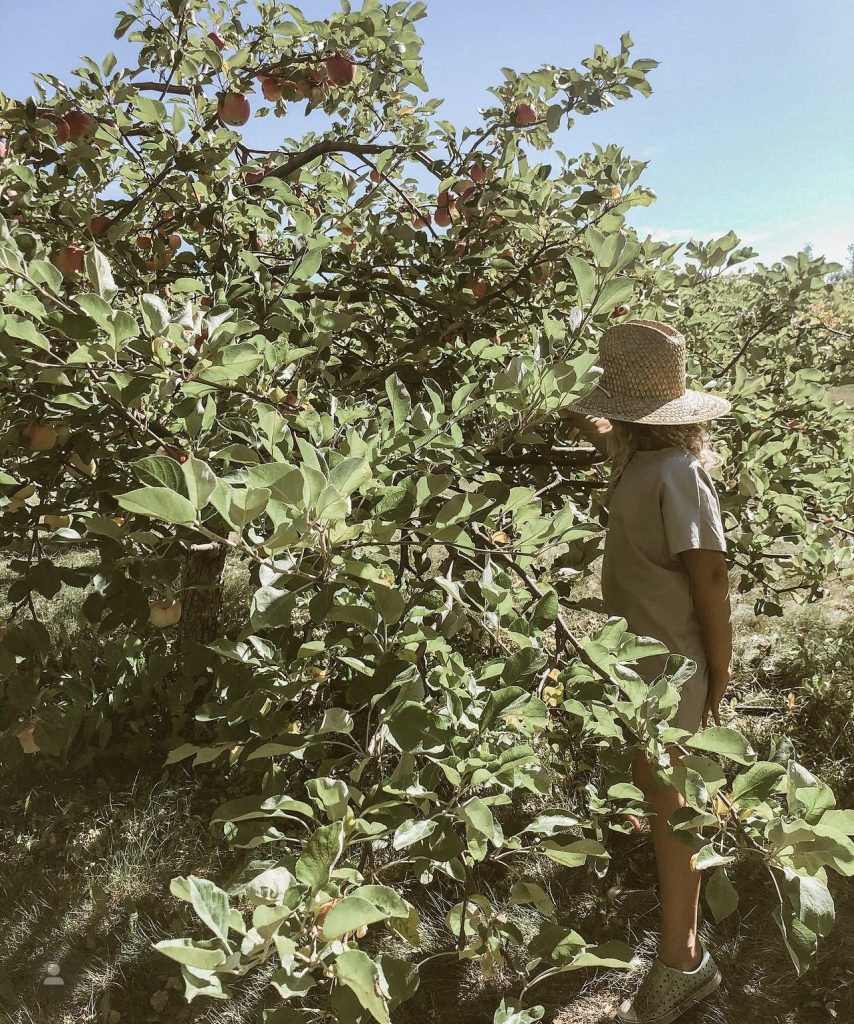 nurturing entrepreneurship