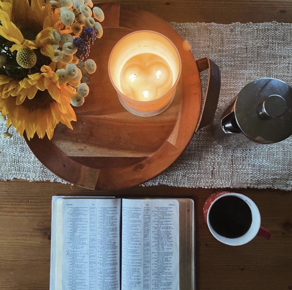 Good morning Shannon