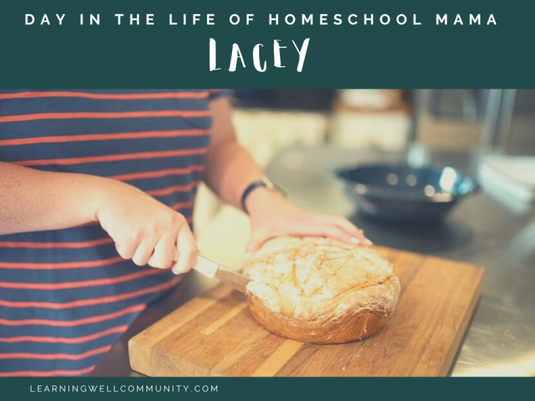 Homeschooling Day in the Life: Lacey, homeschooling mom of two boys in Louisiana